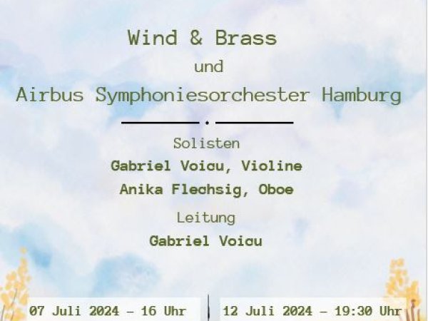 Sommerkonzert am Mümmelmannsberg